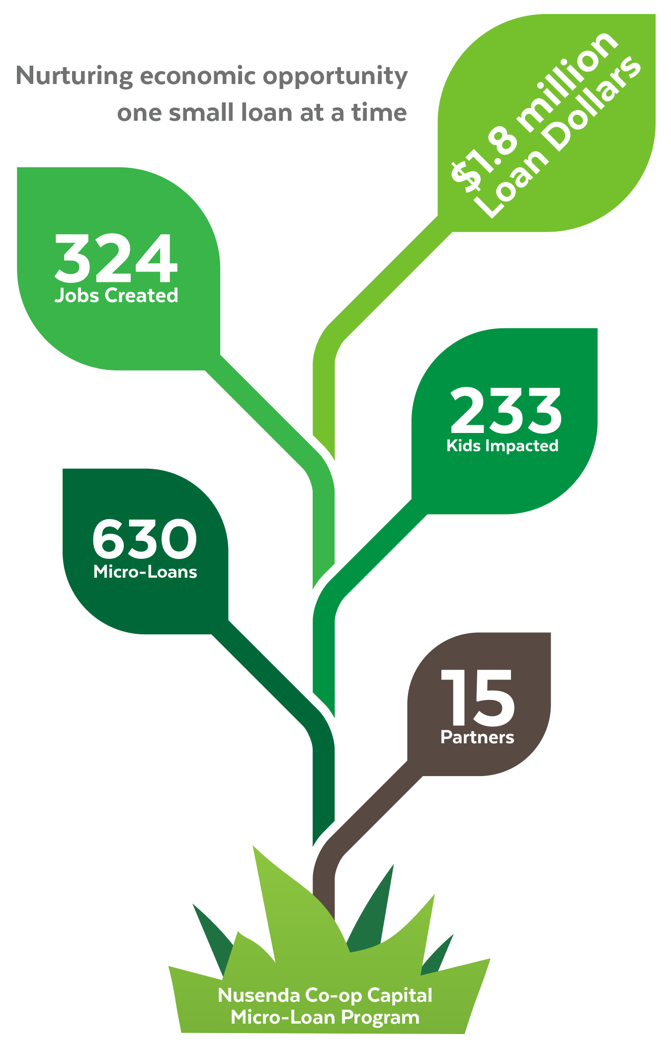 Infographic of Co-op Capital progress through 2020
