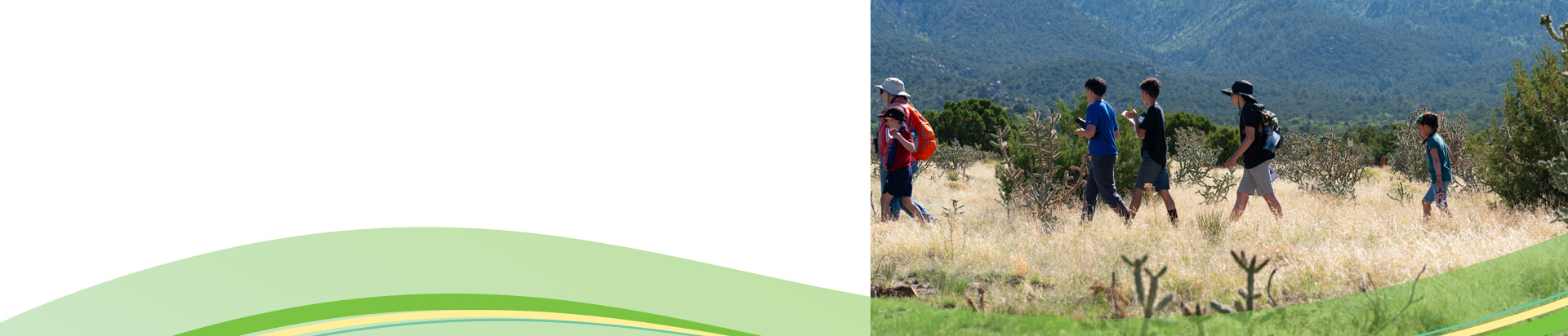 White_Webpage Header 1400x224