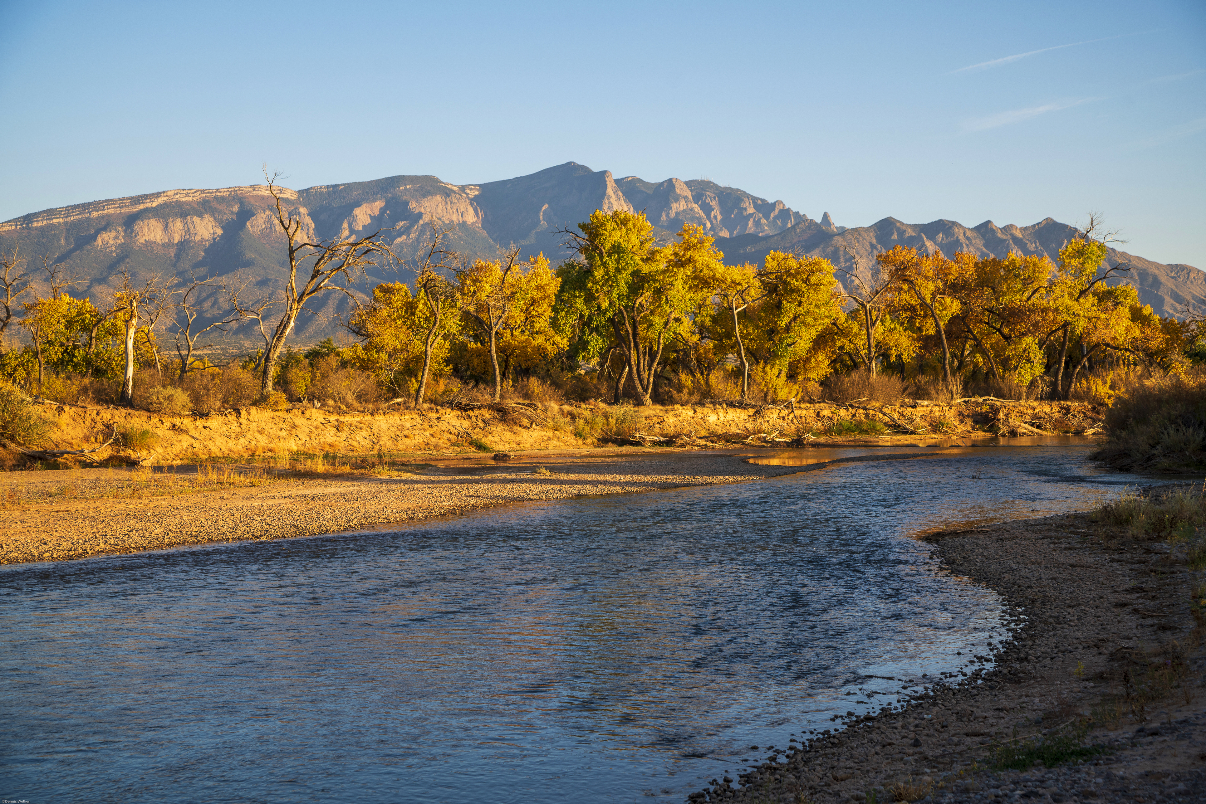 ABQ_Foundation_header